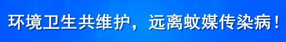 这场网球新, 曾桂花审核, 即将迎来一